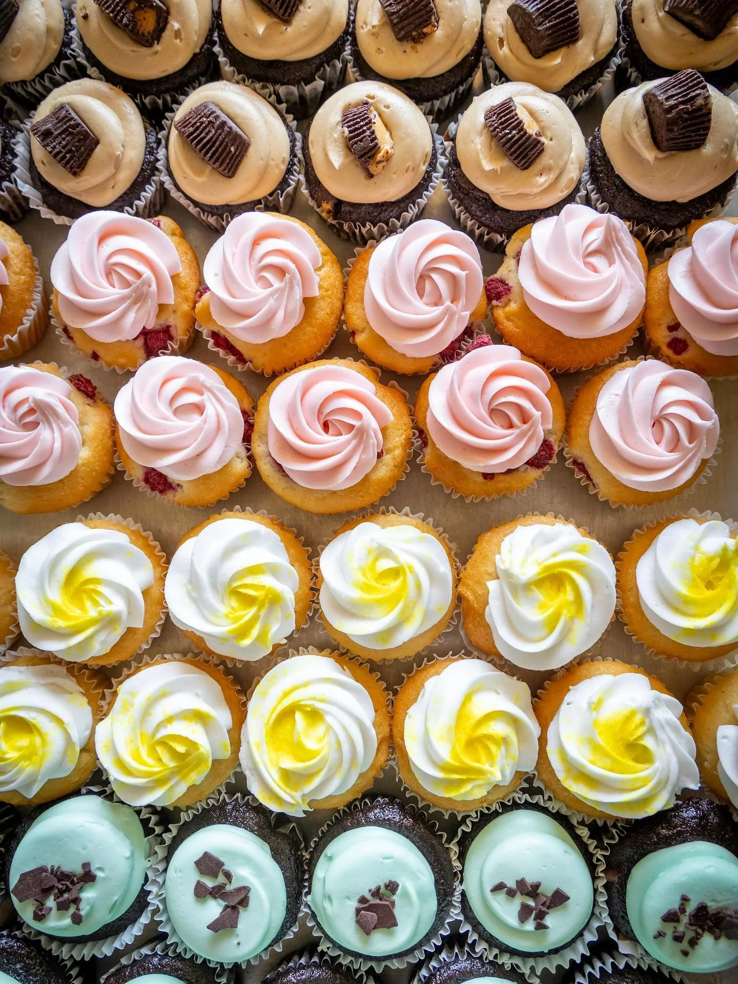 Weekend treat 🧁☕️ #cupcakes #pumpkinroll #sweetsaturday