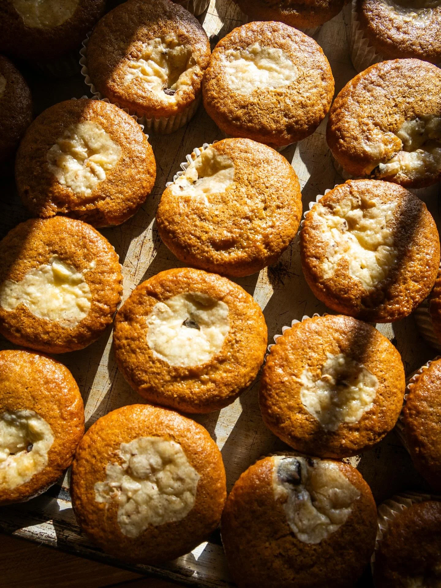 Cozy, perfectly spiced pumpkin cupcakes. #pumpkinspice #pumpkinroll #cupcakeandcoffee #lititzpa