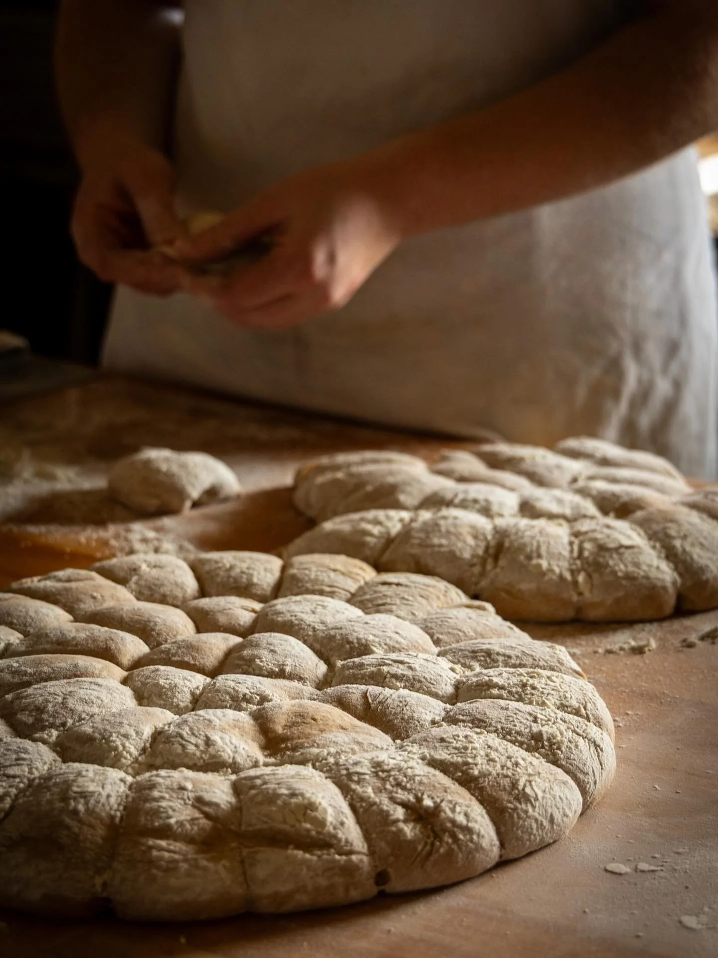 These past couple of days have felt sooo good getting back into our normal schedule. A little slower, with tasks a little smaller. Each day doesn&rsquo;t feel like Everest anymore&mdash;more like Mt. Gretna.

On that note, we&rsquo;ll actually be abl