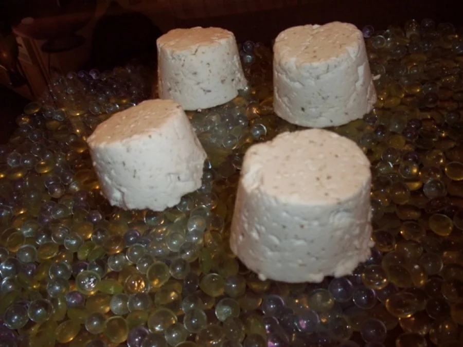 Goat Cheese with Fennel Pollen