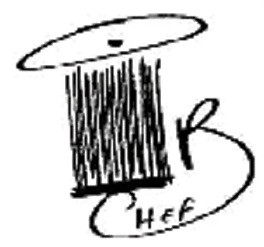 Barbecued Jumbo Shrimp with Japanese Eggplant and Avocado Mango Relish