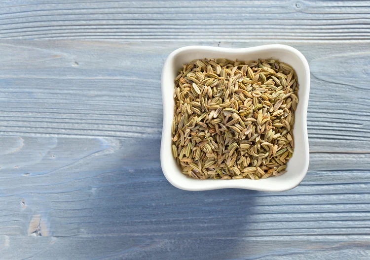 WHAT YOU NEED TO KNOW ABOUT FENNEL