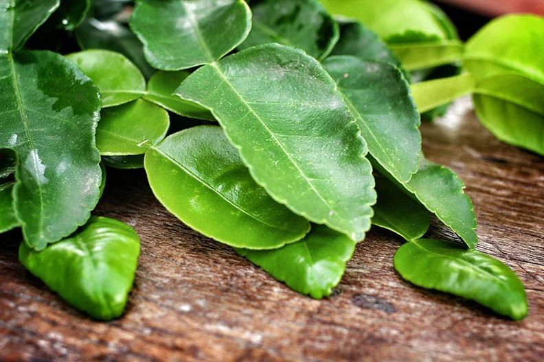 WHAT ARE KAFFIR LIME LEAVES?