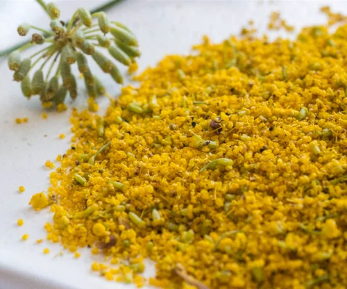 Fennel Pollen: Culinary Fairy Dust - The Wall Street Journal