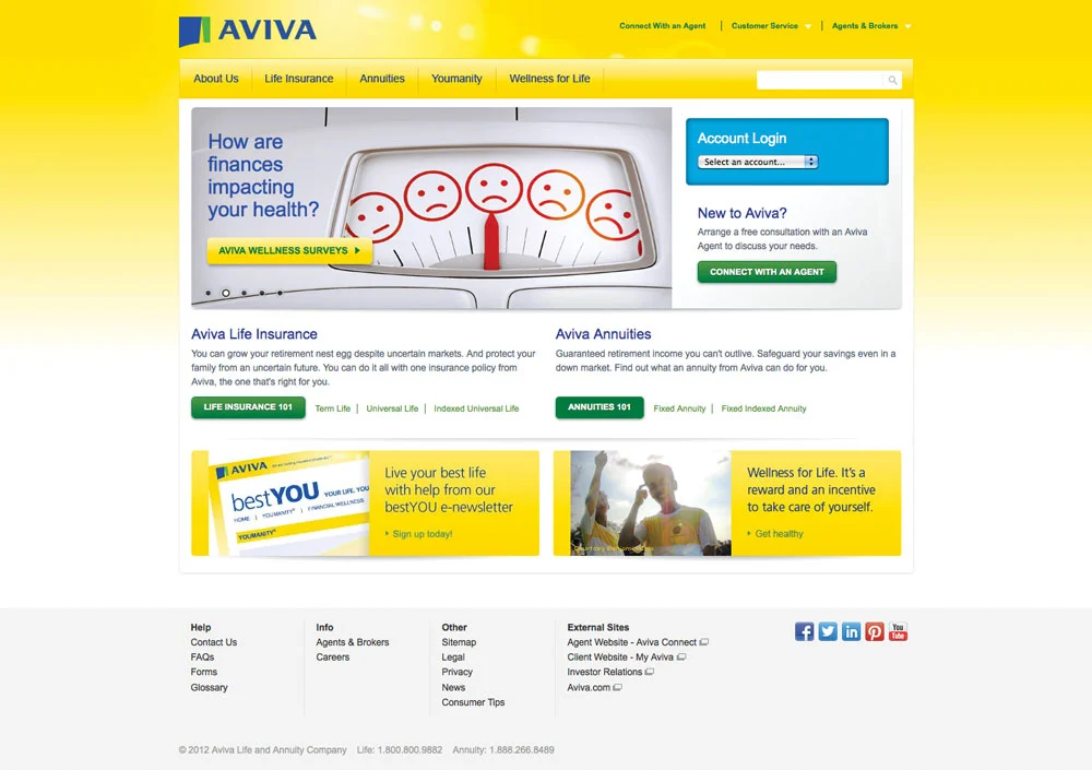AvivaUSA.com before the acquisition.
