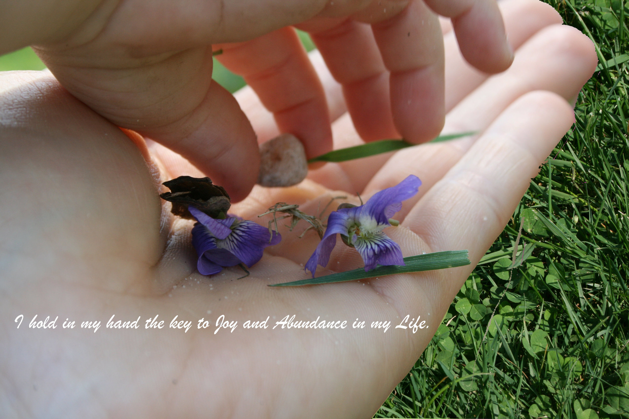 Garden in Hand_Joy and Abundance.jpg
