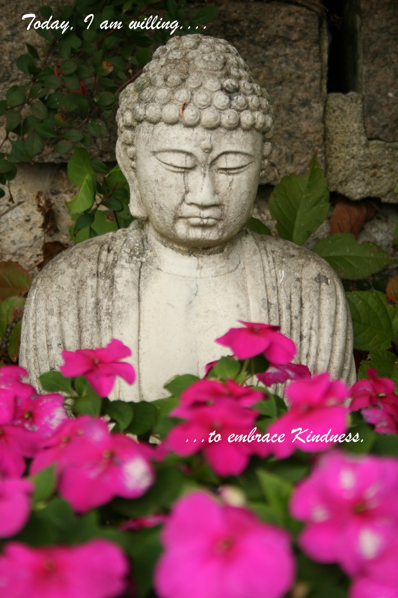 Buddha in blooms_embrace kindness.jpg