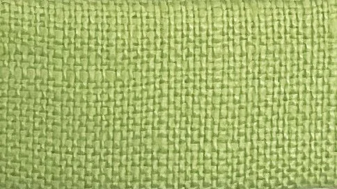 Carnival Green