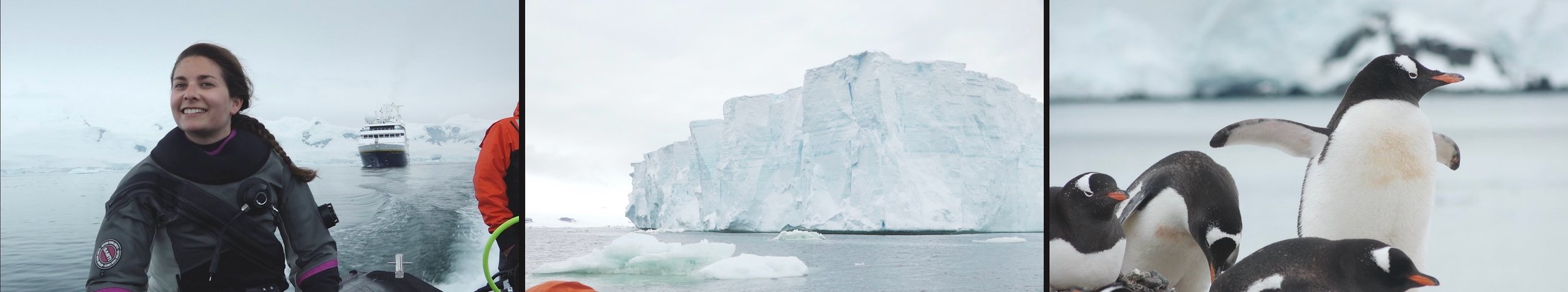 Screen Shot 2024-06-27 at 3.35.59 PM.jpeg