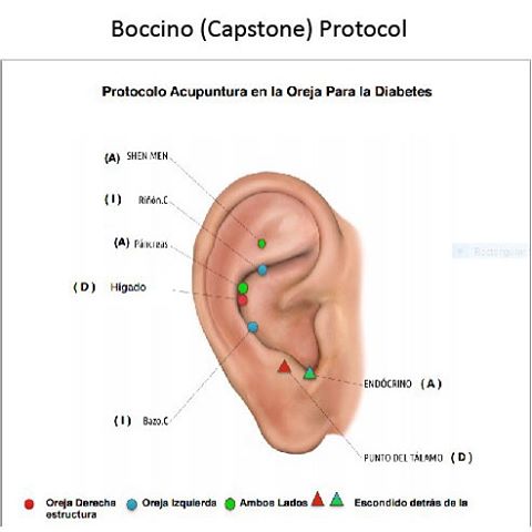 #BoccinoProtocol lowers blood glucose levels in #T2D #pilotstudy ---
Can an auricular acupuncture protocol lower blood glucose in patients with type 2 diabetes? ---
Let us know your results. #oronakupunktur #auricularacupuncture #earseeds #earacupunc