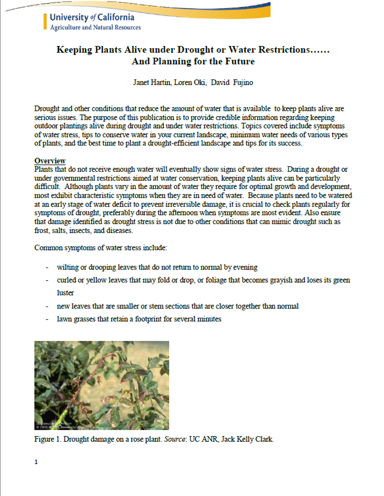 Keeping Plants Alive Under Drought or Water Restrictions And Planning for the Future