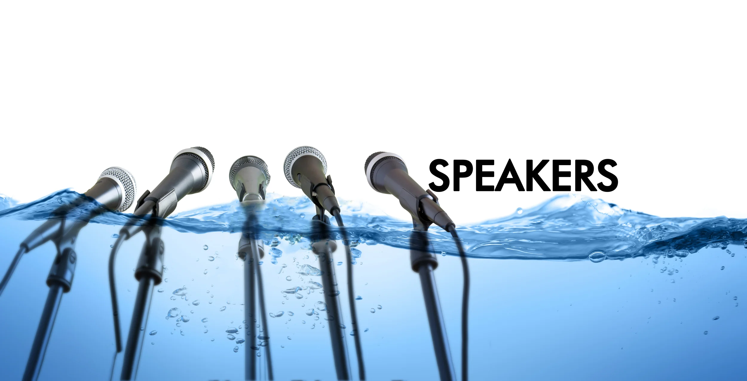 speakers3.jpg