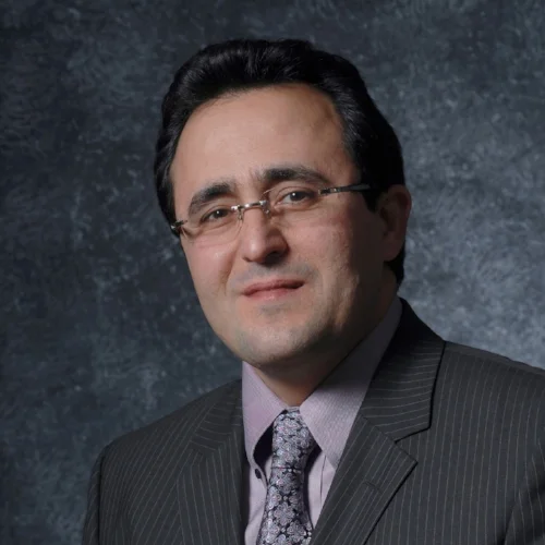   EXECUTIVE COMMITTEE   Ali Sahabi,  Optimum Group, LLC    