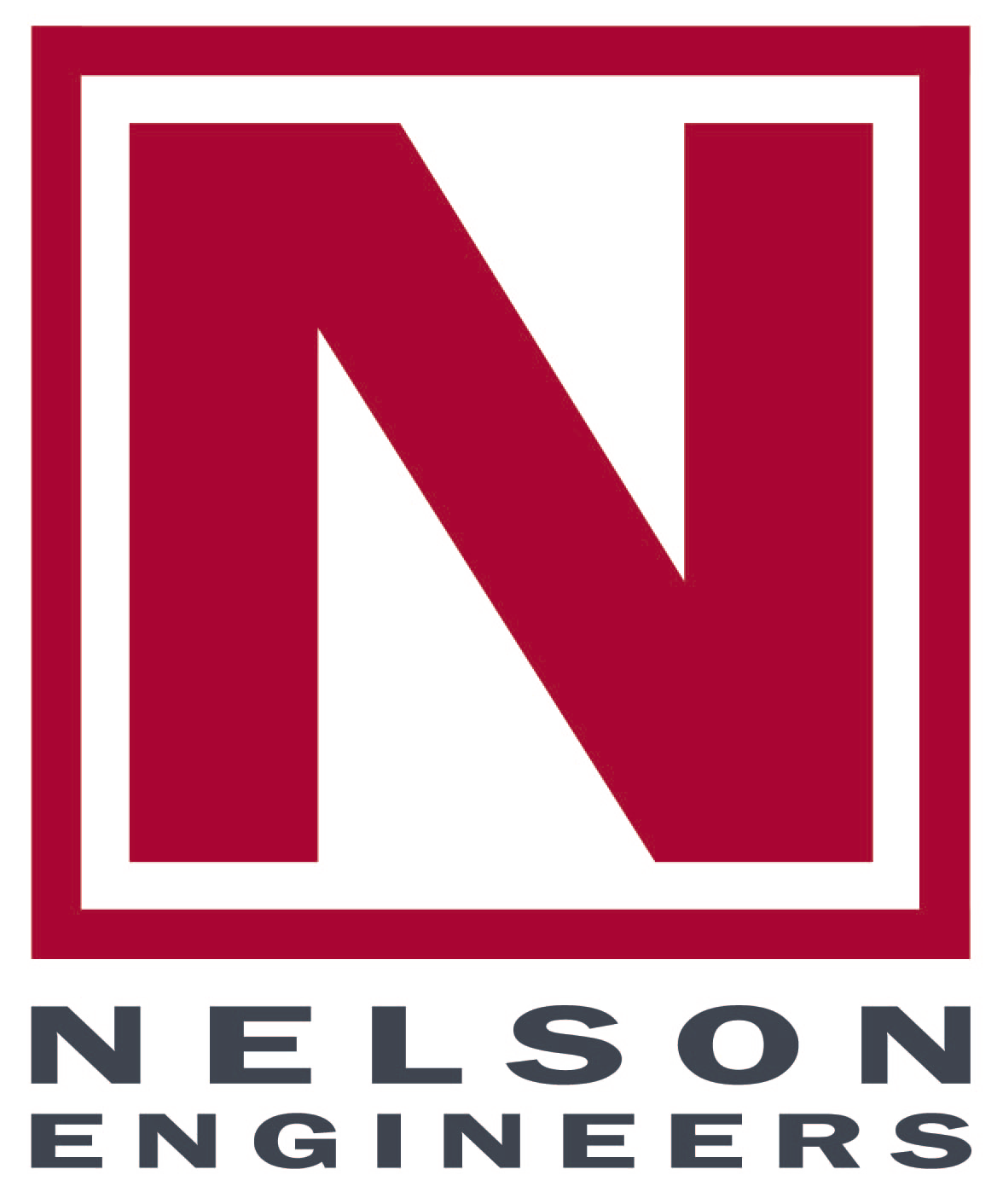 17_Nelson-Logo_PNG.png