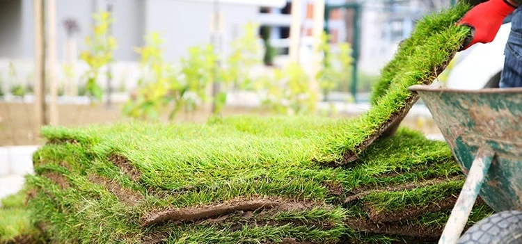 Image from Green Earth Landscaping Services
