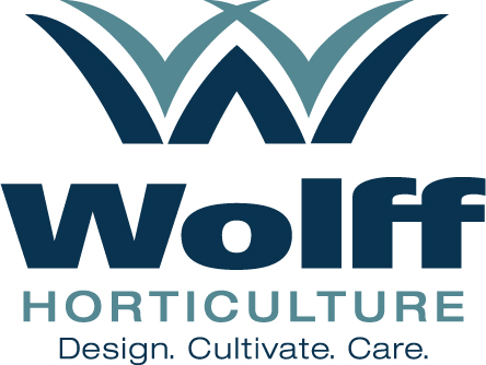 Wolff_Logo.jpg