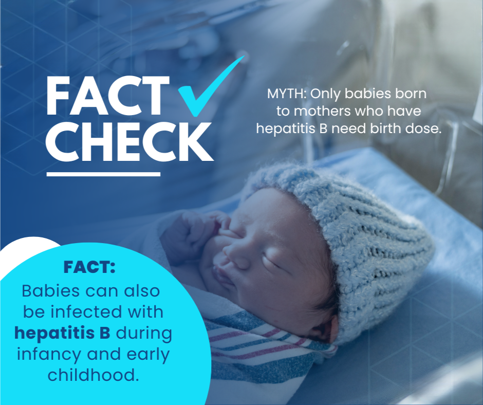 FACT v Myth Hepatitis B Vaccination .png