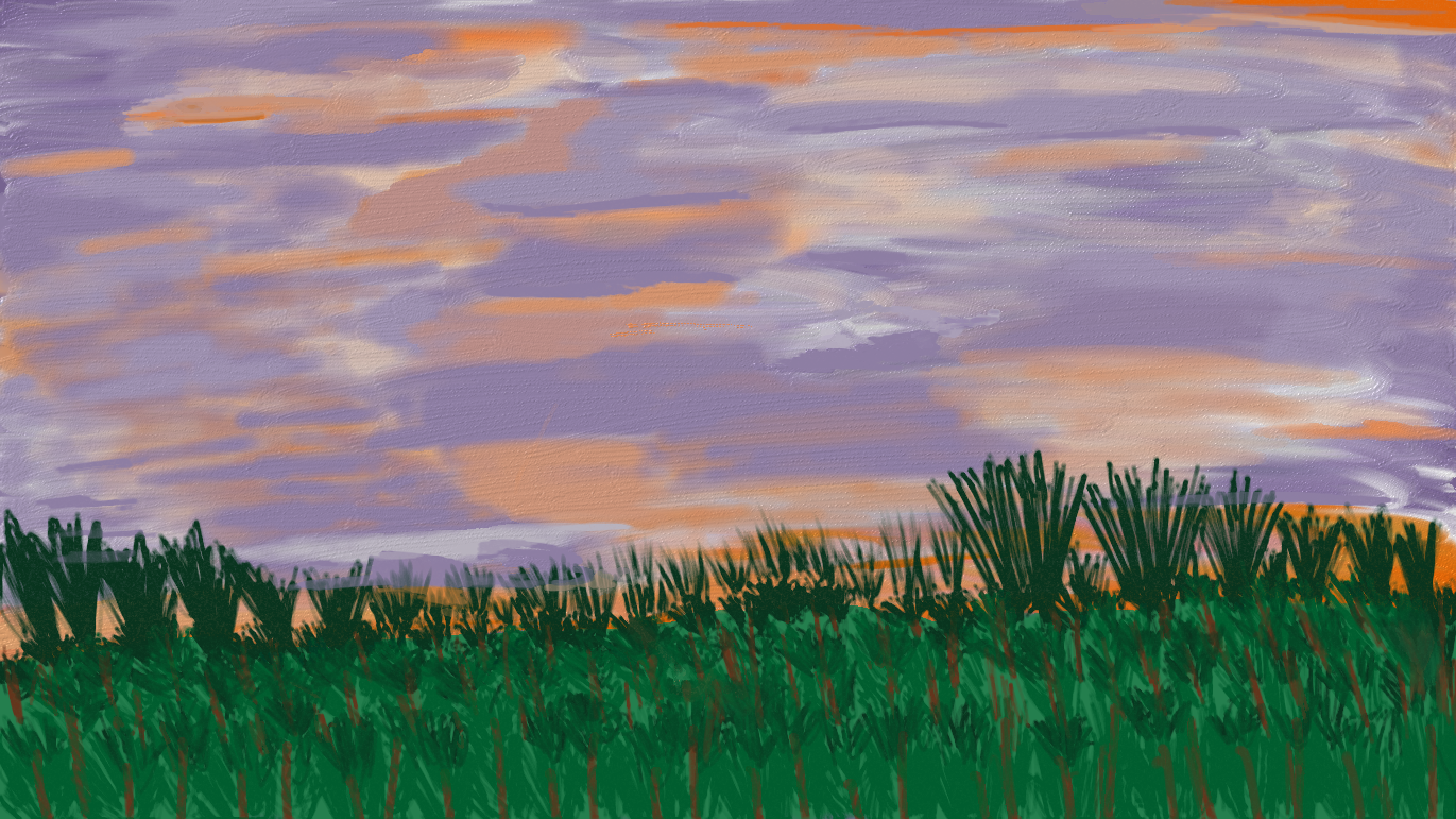 Wooded Orange Sunset - SOLD