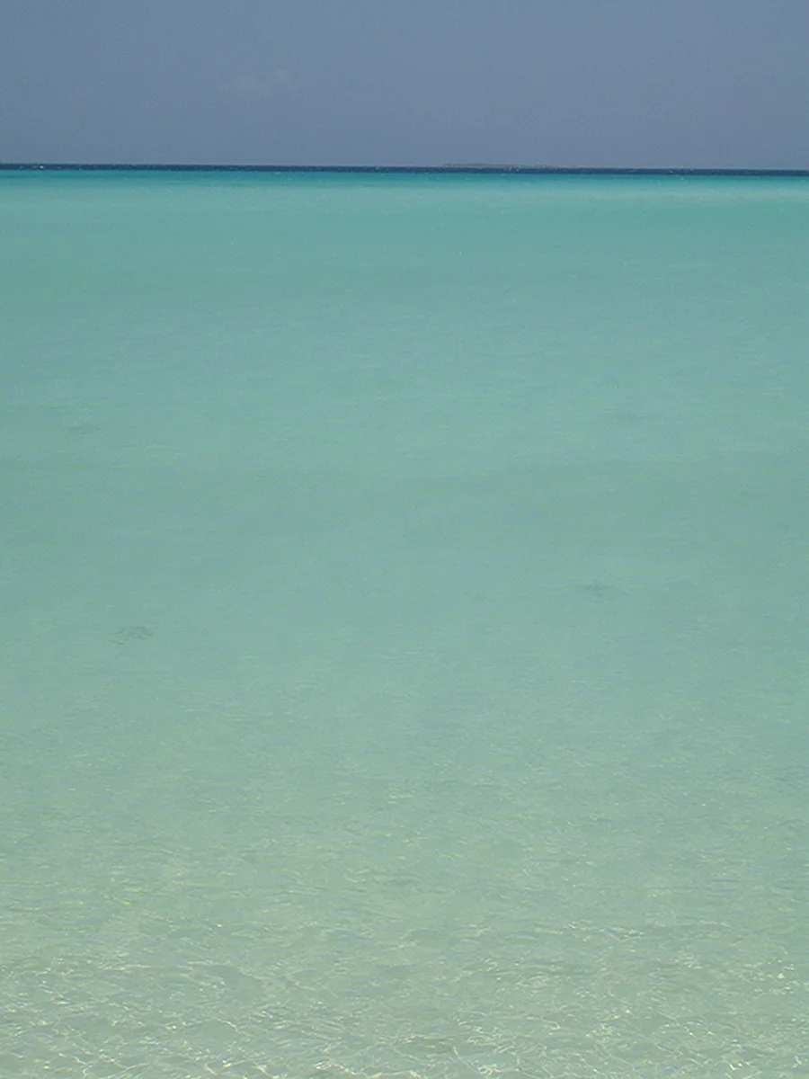 DSC01592.jpg