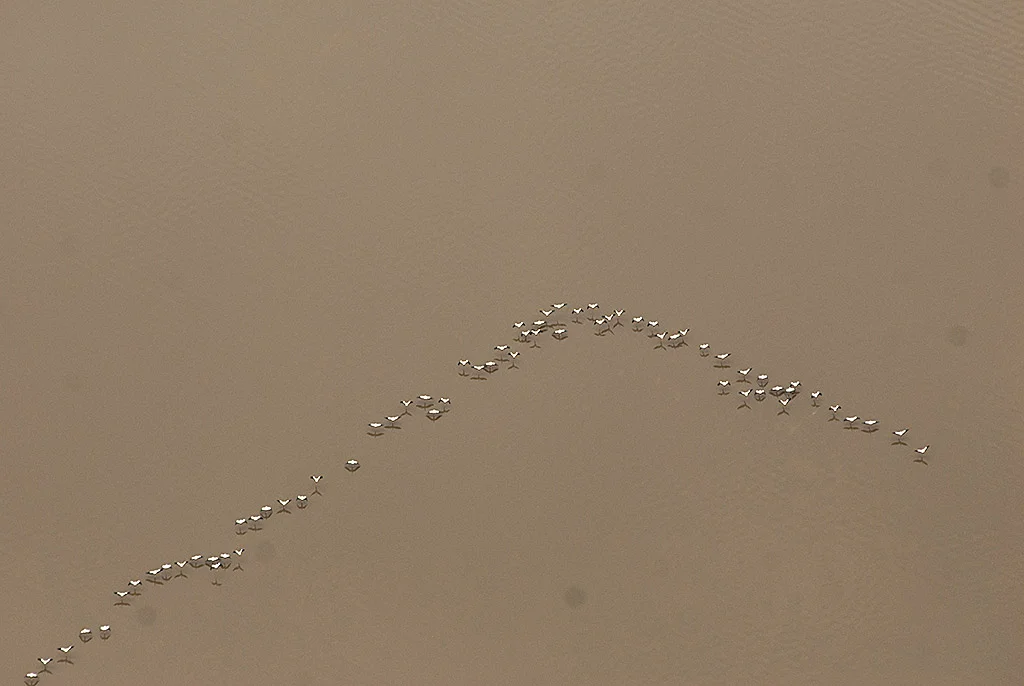 SNC8713.jpg