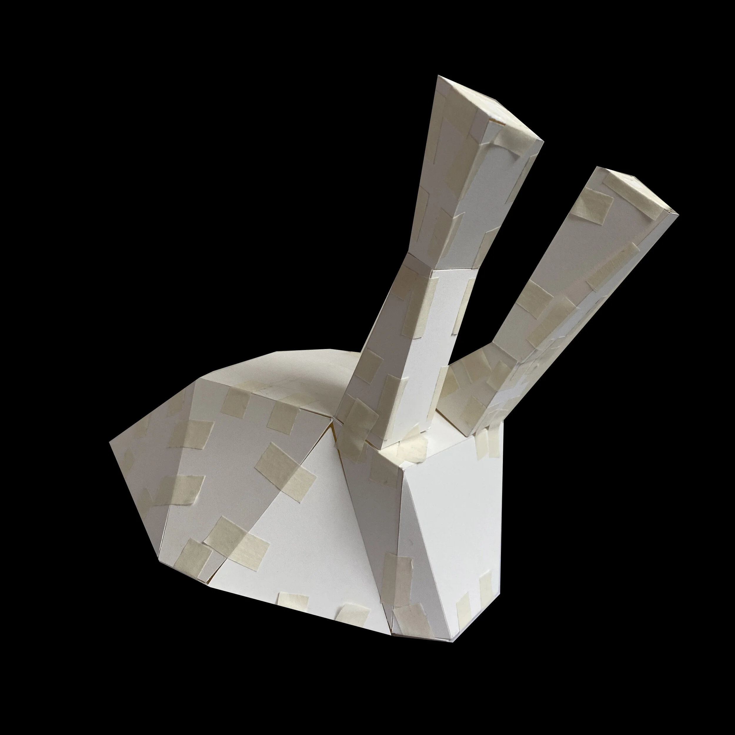 Study Model (Copy)