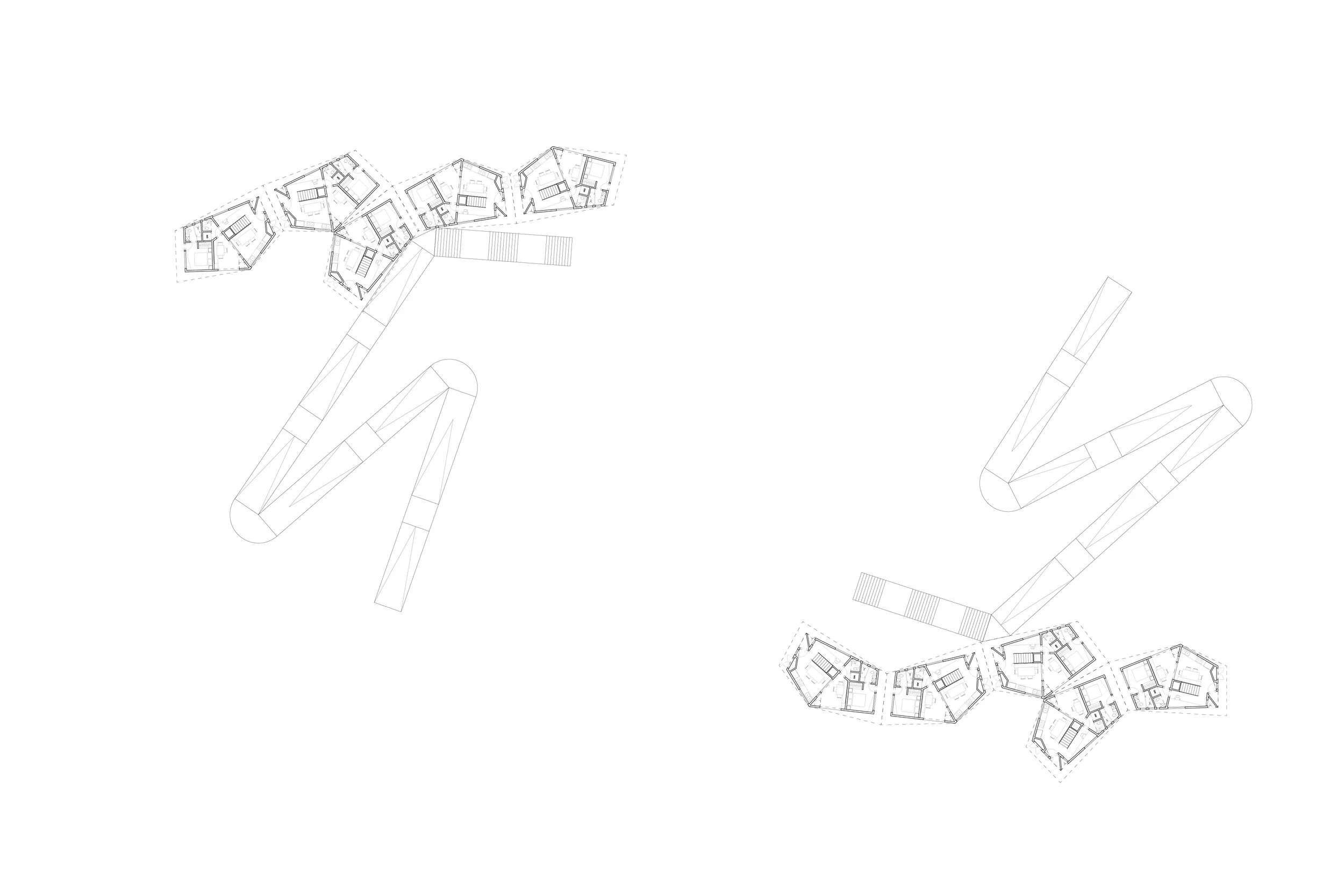 Planies-05.jpg