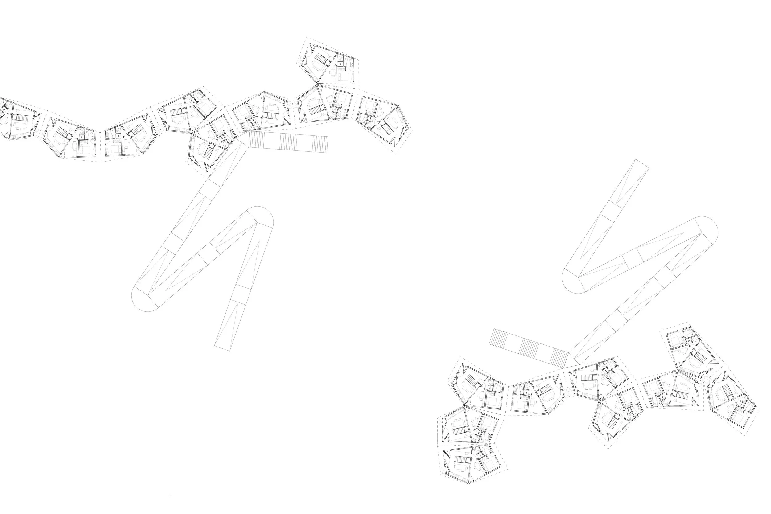 Planies-04.jpg