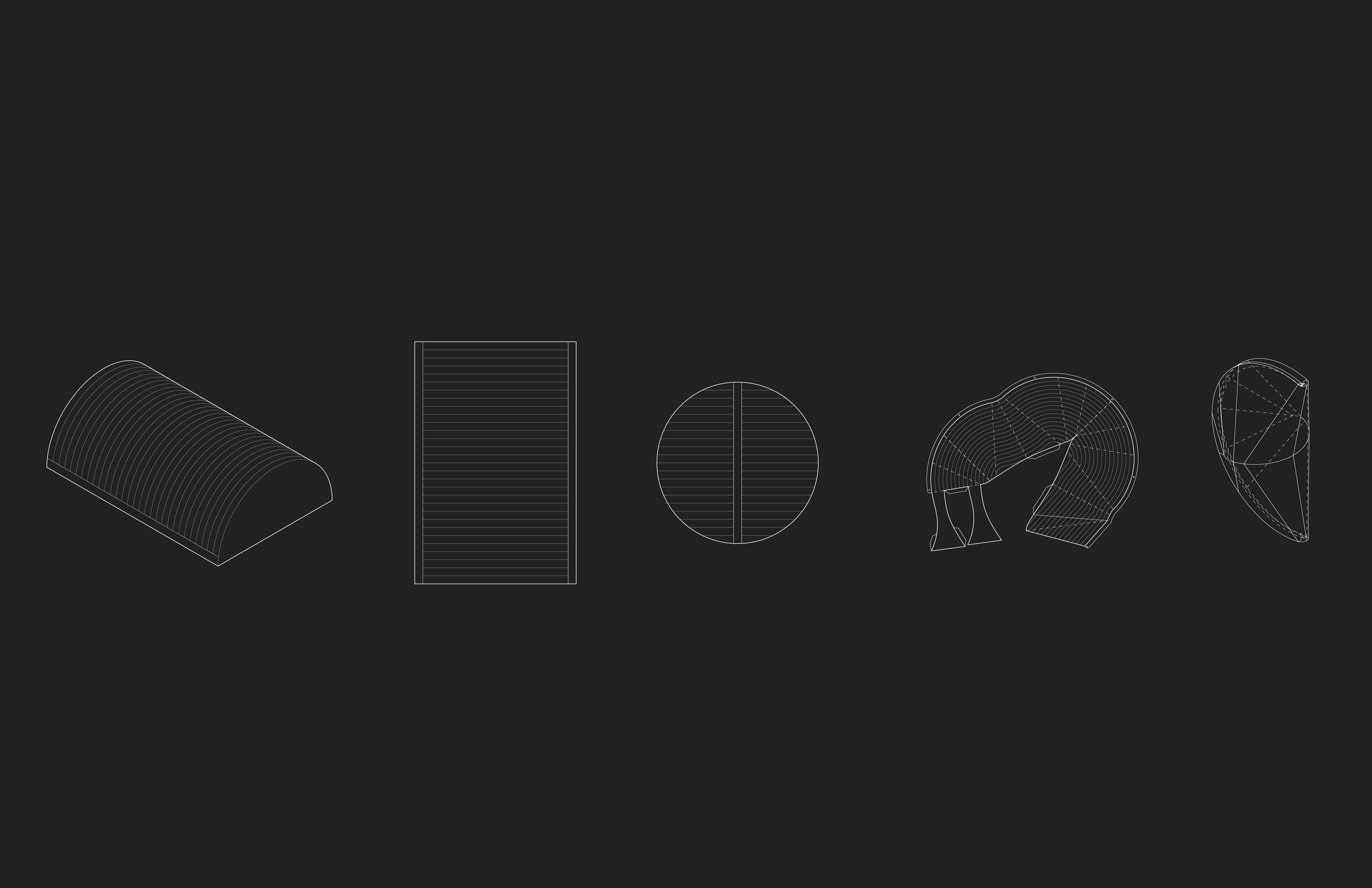 morphology [Converted]-01.jpg