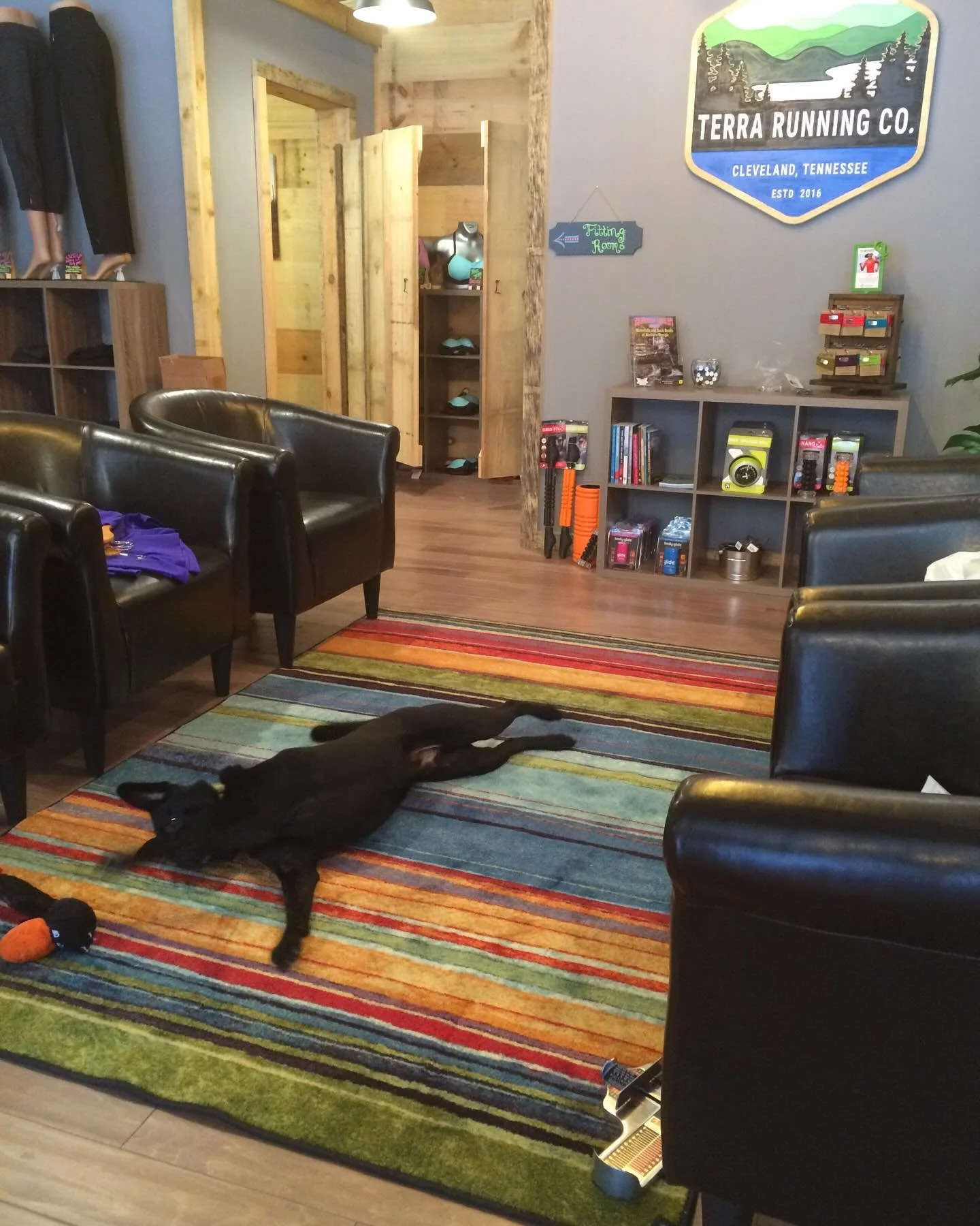 We heard 2026 is the new 2016. Love these decade old memories and all those bright colors 🙌🏼😜