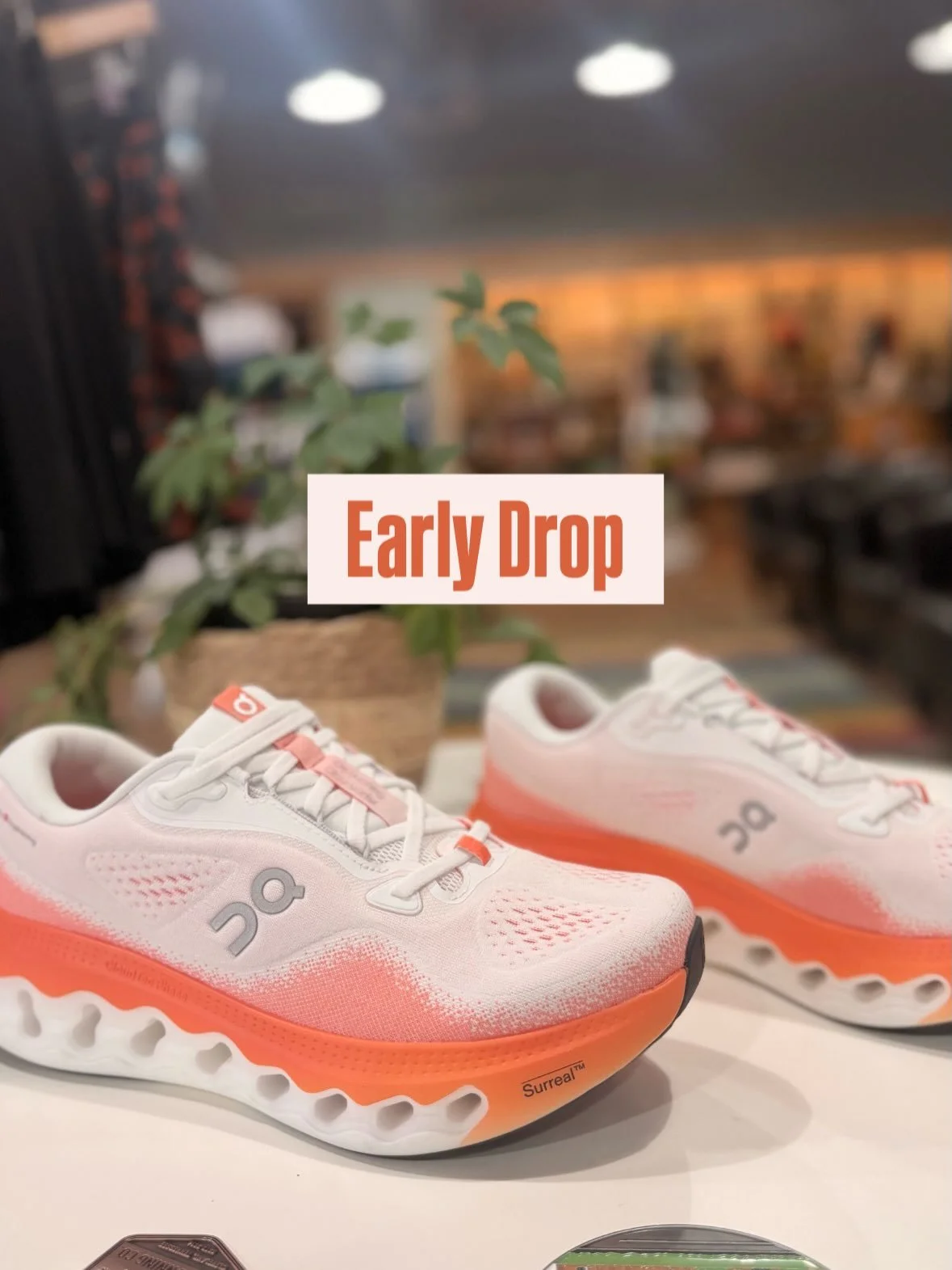 At Terra Running Co. weeks before you can get it at any big box store or online. ☁️ The new On Cloudsurfer 3 is a soft, smooth everyday road running shoe built for everything from recovery miles to longer training runs. Debuting On&rsquo;s new Surrea