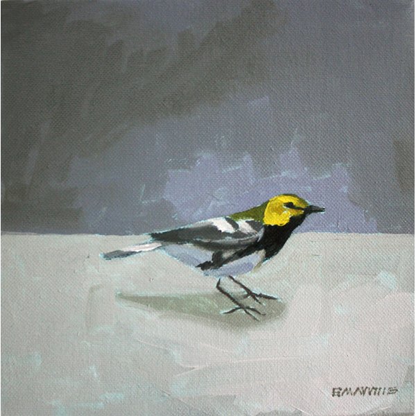    Black-Throated Green Warbler   2012 oil on canvas 10 x 10"&nbsp; 