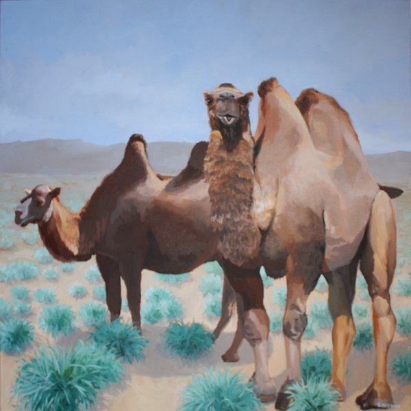    Two Camels   2014 oil on canvas 36 x 36" 