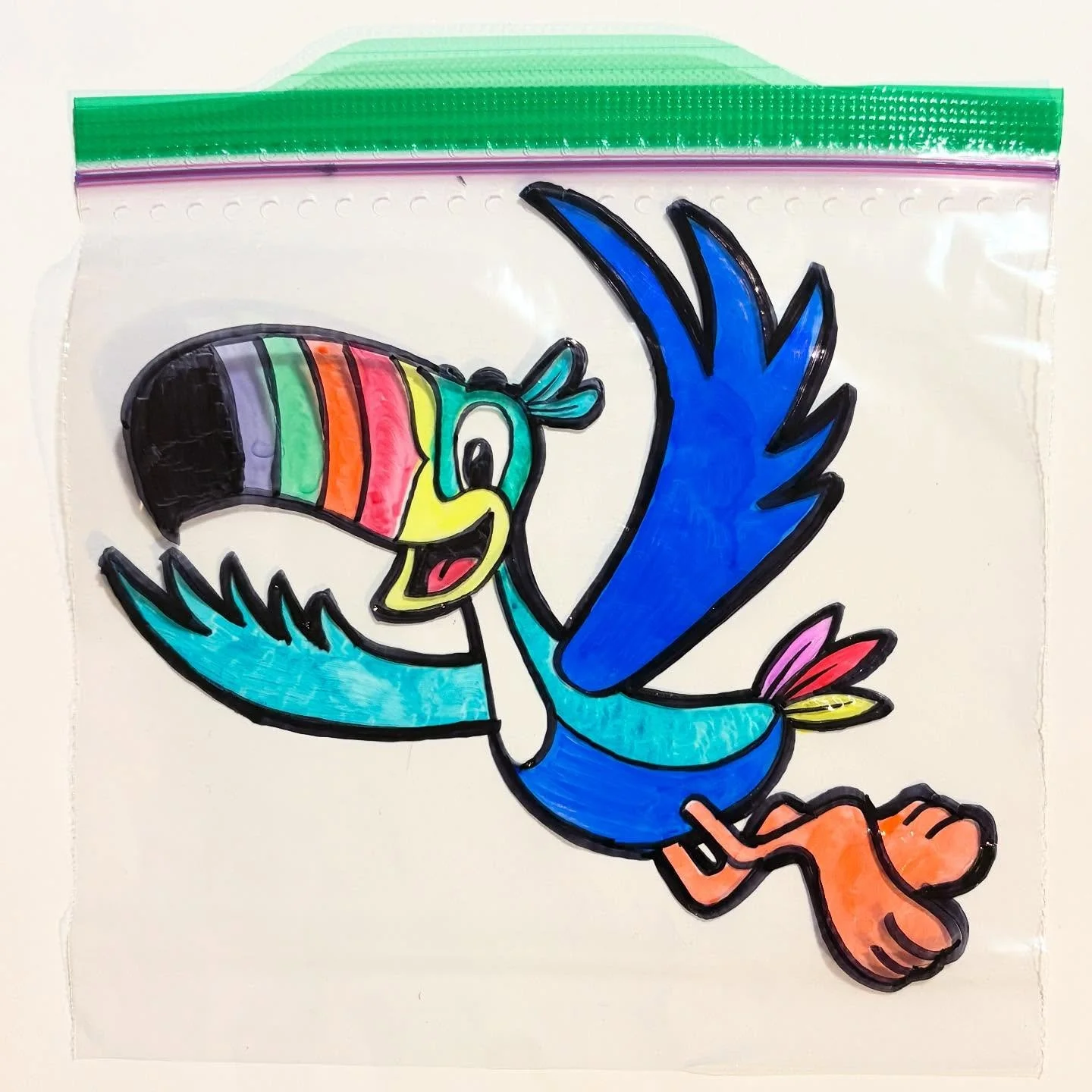#frootloops #toucansam #toucan #birdsofinsta