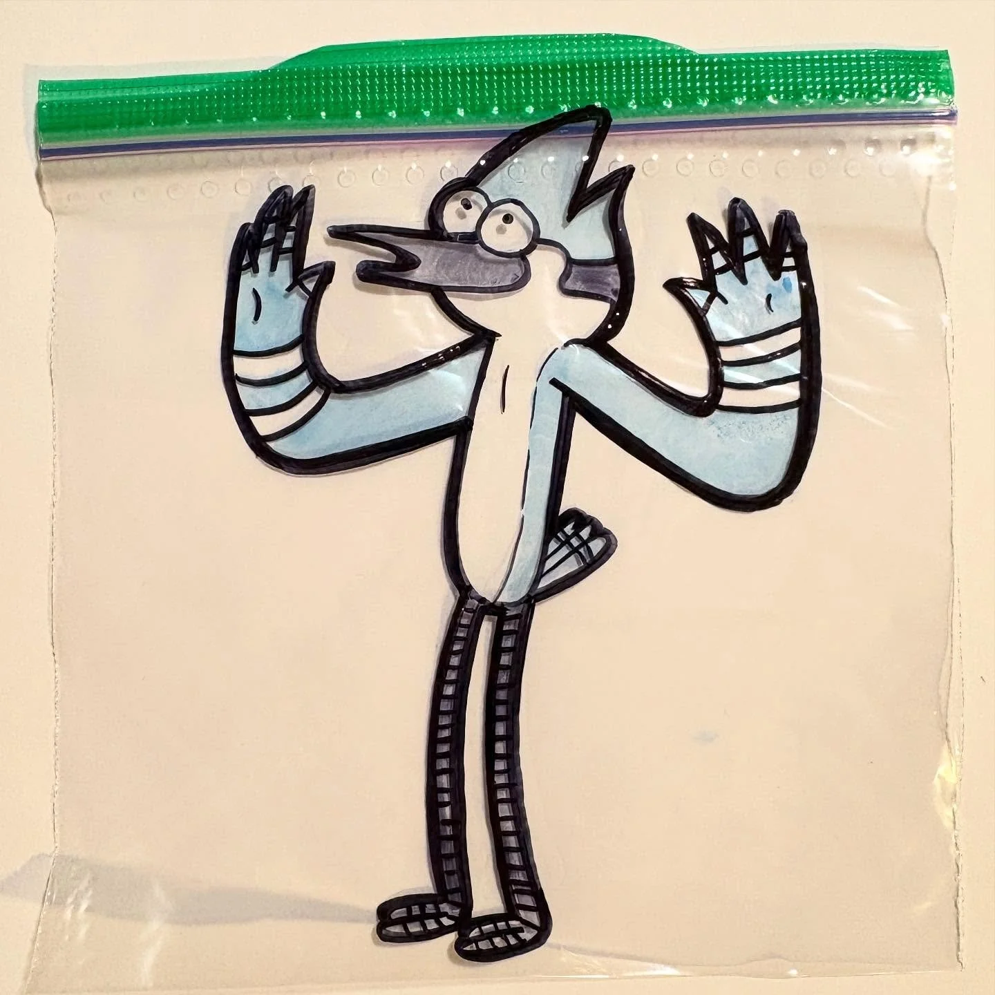 #Mordecai #regularshow #cartoonnetwork #bluejay #birdsofinstagram