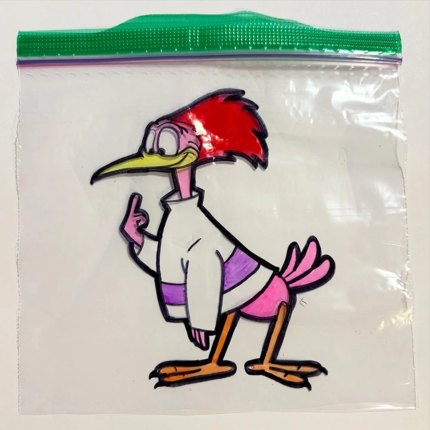 #aracuanbird #aracuan #disneyaracuan #clownofthejungle #threecaballeros