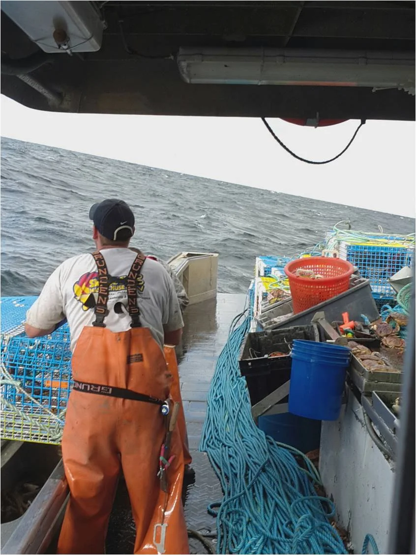 WorkingAtSea_v12.jpg