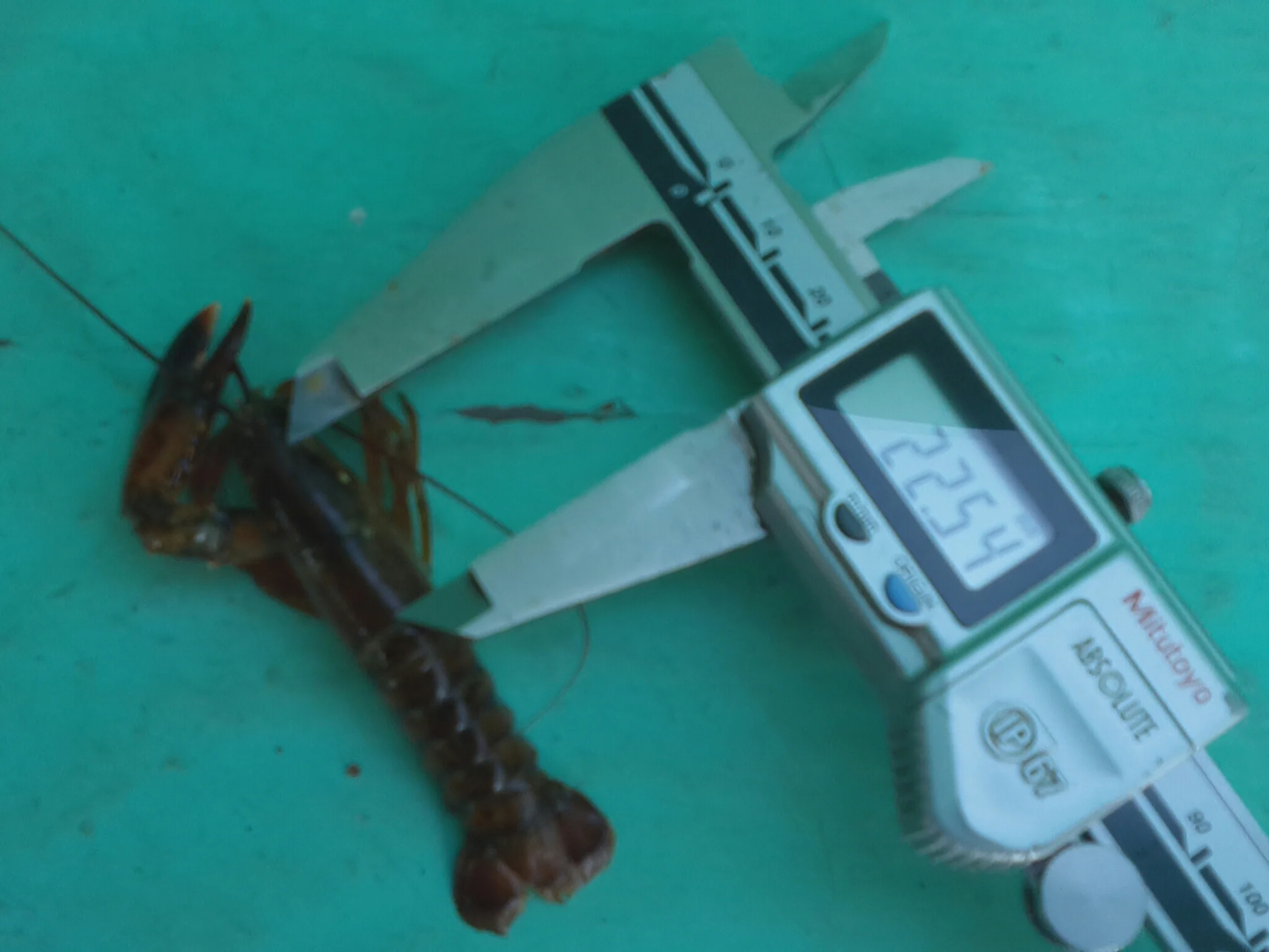 v5_7_1_16_1.jpg