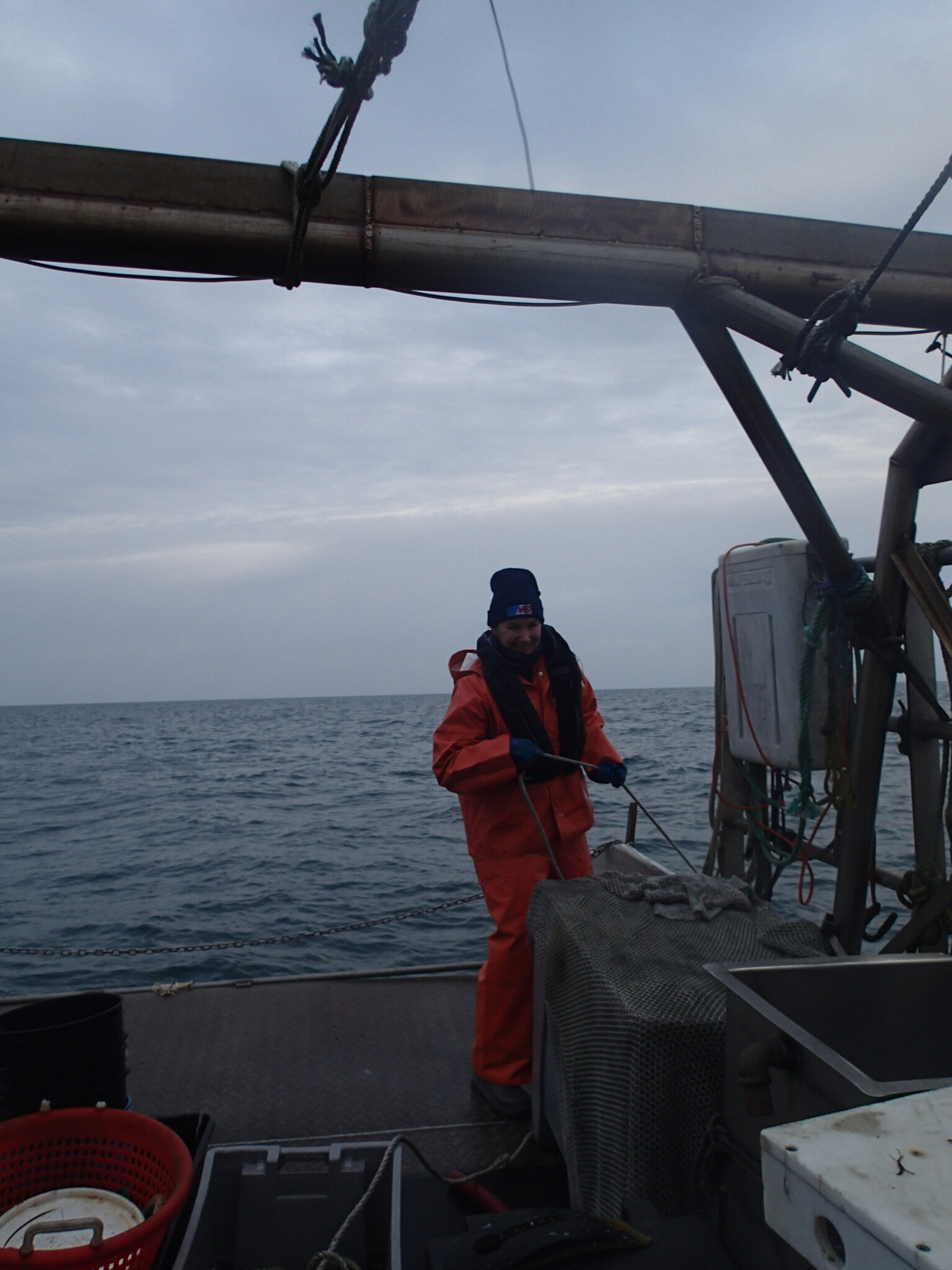 SFWF: Beam Trawl Survey — CFRF