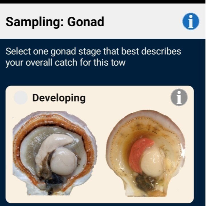 ScallApp Sampling Screen