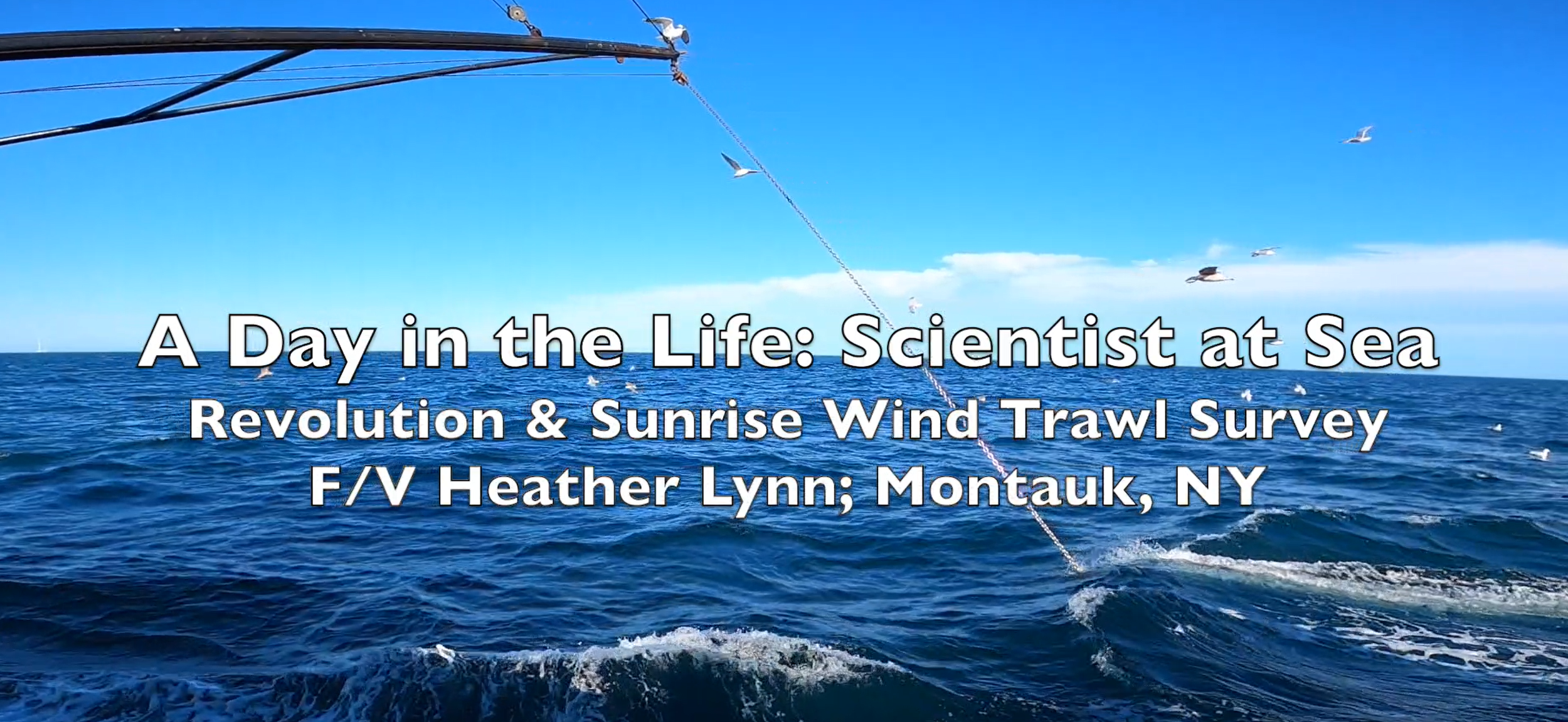 Scientist at Sea: A Day in the Life on the Revolution and Sunrise Wind Trawl Survey