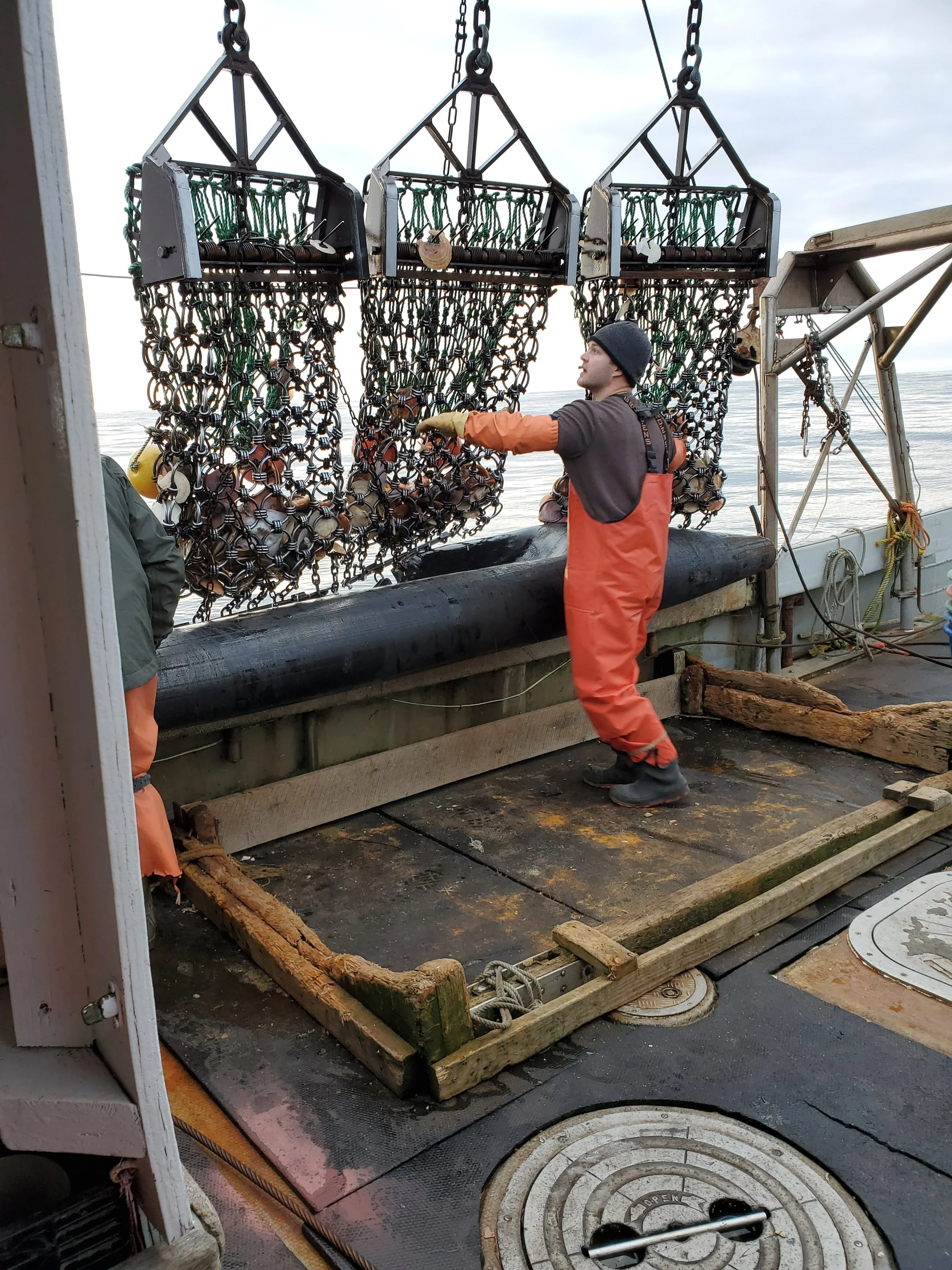 New Paper: Testing the N-Viro Scallop Dredge
