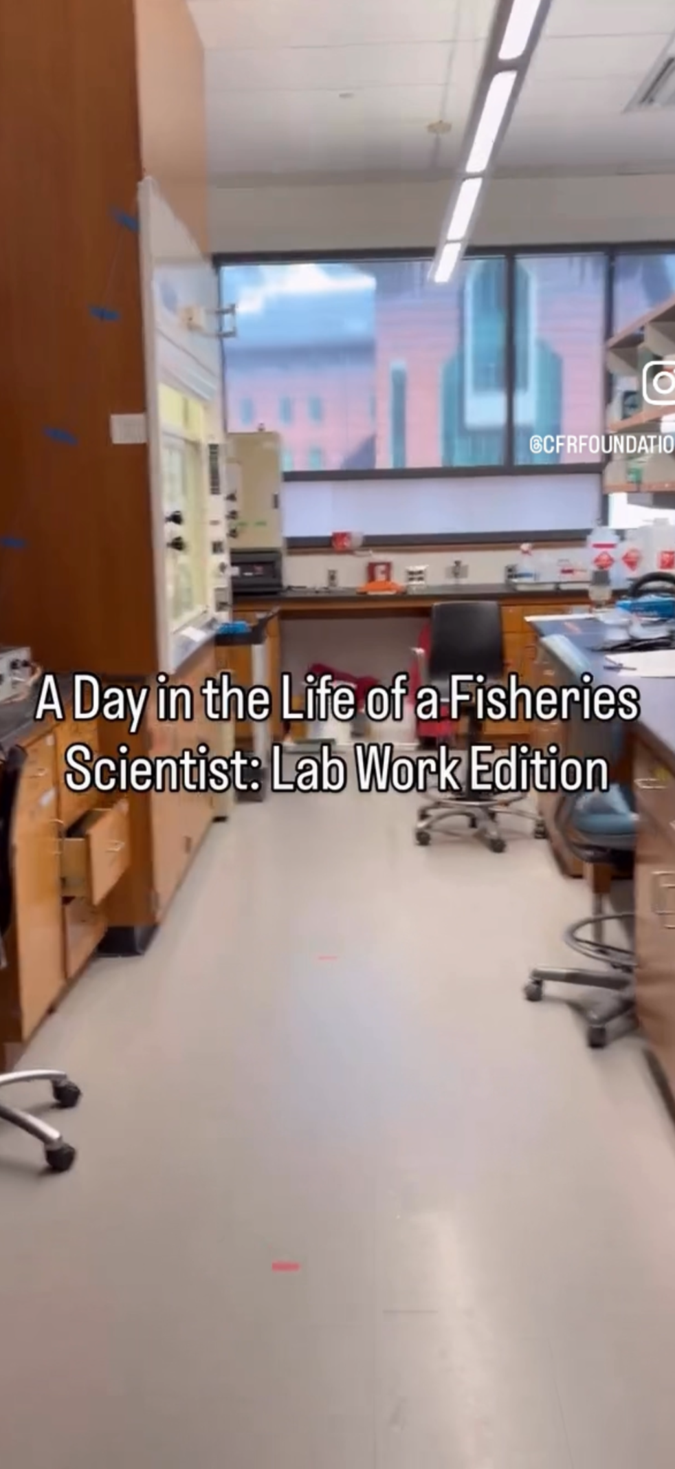A Day in the Life of a Fisheries Scientist: Lab Work Edition (Juvenile BSB Survey)