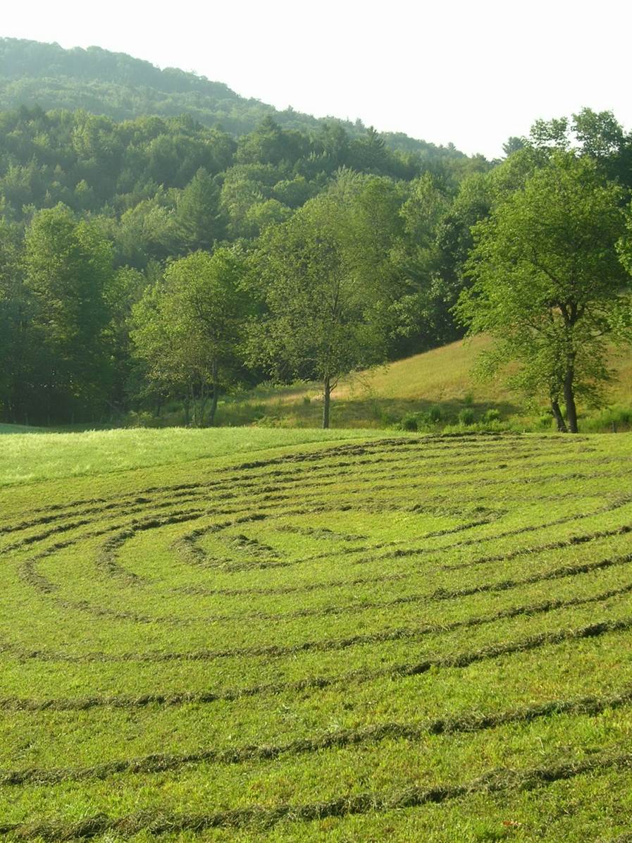 Summer Hay