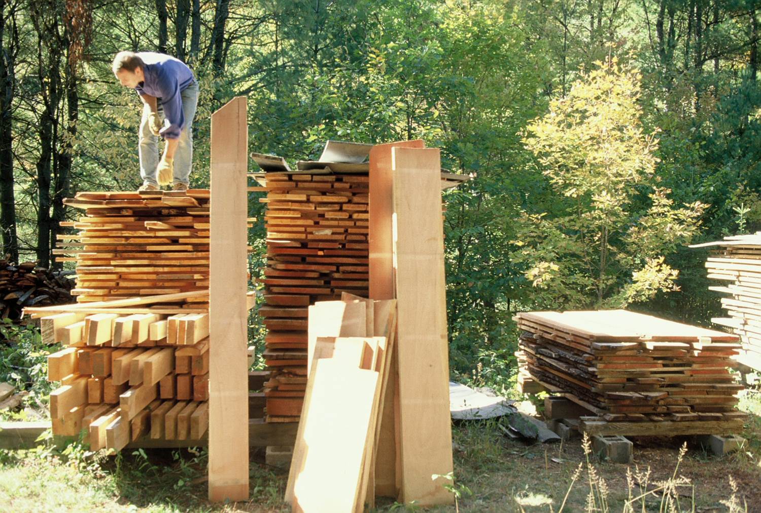 Drying Wood