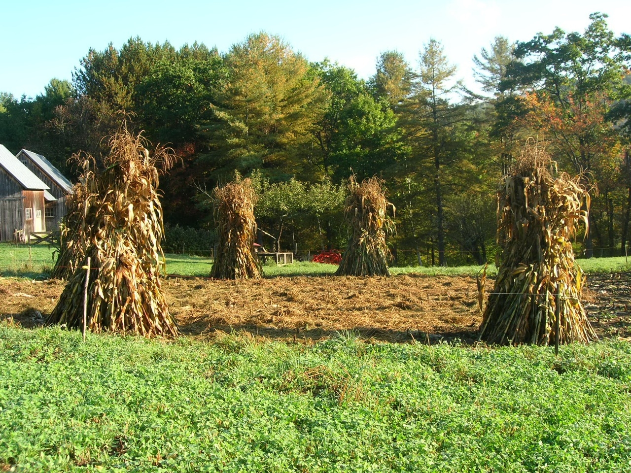 Fall Harvest