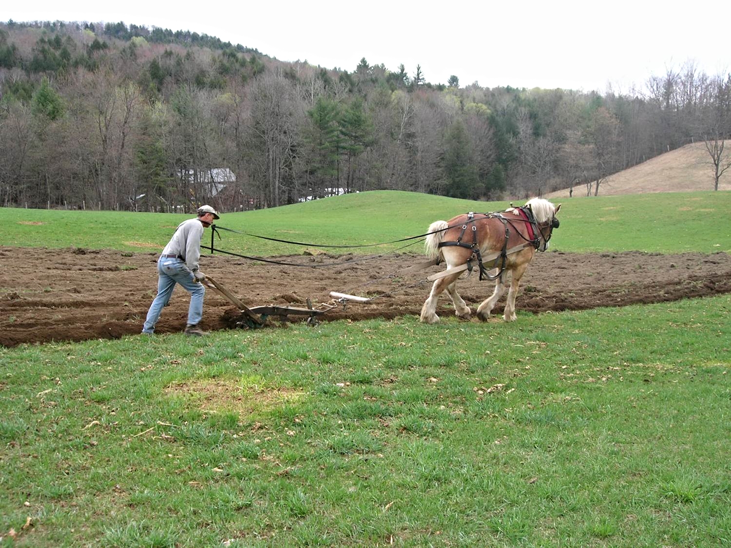 Spring Plowing