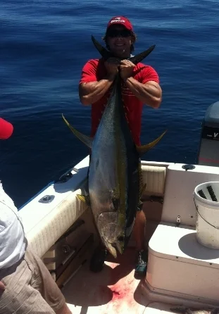 schoolie yellowfin tuna seaguar hat