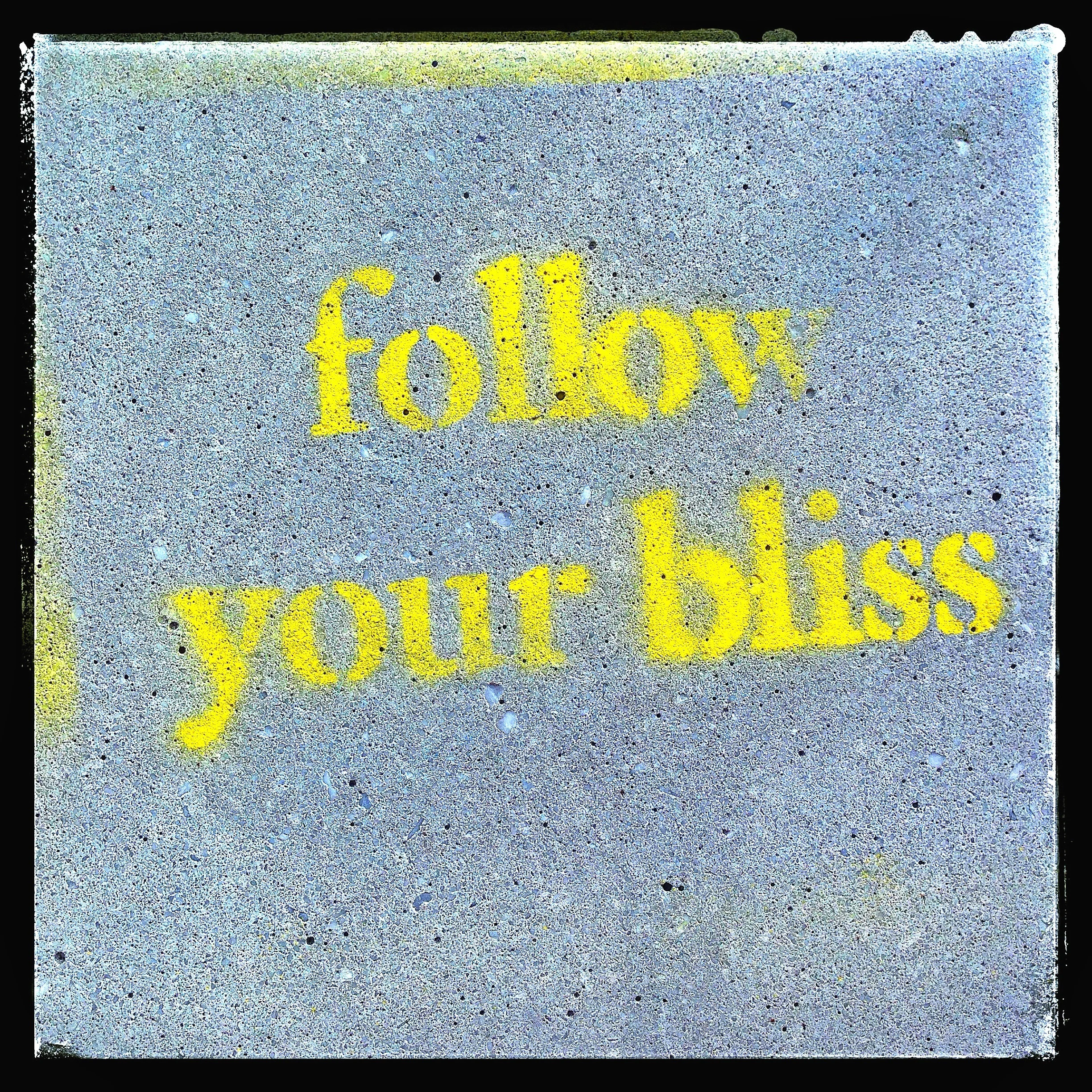 Follow your Bliss