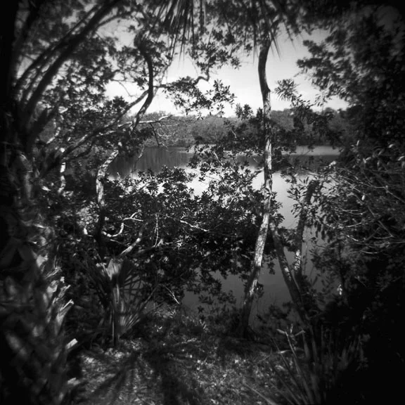 0726.lisacohen.050107.jpg