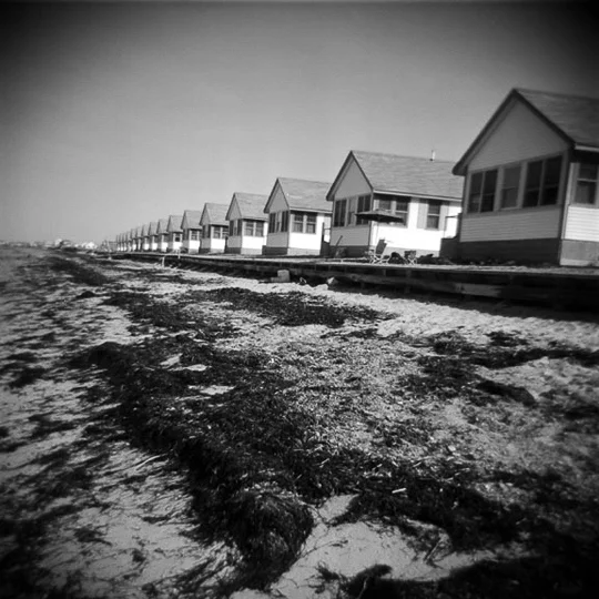 0735.lisacohen.050106.jpg